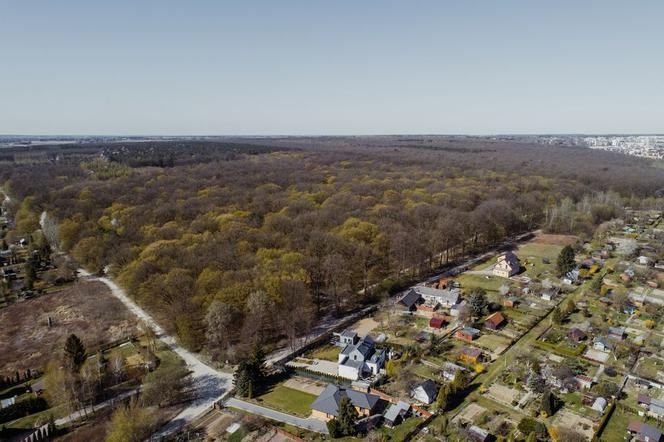 Lublin - Stary Gaj i apel prezydenta do Lasów Państwowych