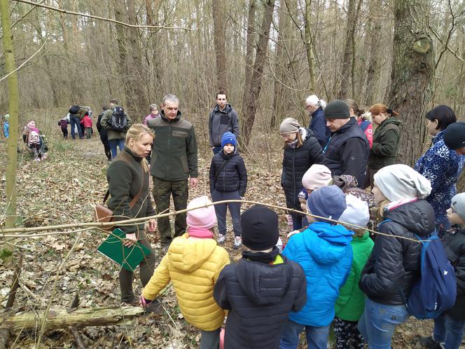 Siedlczanie szukali pierwszych śladów wiosny wraz z leśnikami z Nadleśnictwa Siedlce