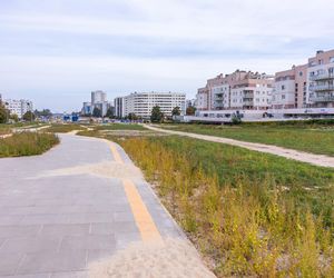 Budowa parku nad Południową Obwodnicą Warszawy