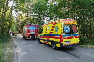 Wypadek pod Toruniem. Zakrwawiony kierowca wjechał autem w las