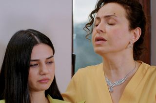 Miłość i nadzieja, odcinek 278. Bahar, Cavidan