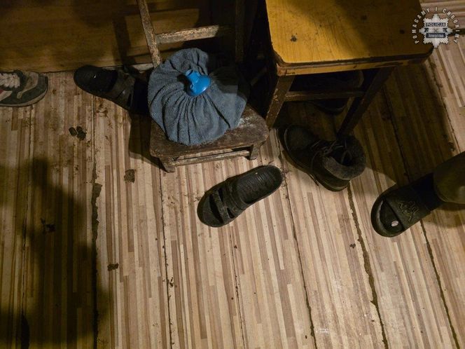 Policjanci odebrali 8 skrajnie zaniedbanych psów nieodpowiedzialnej właścicielce