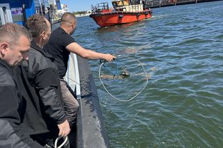 Jelonek wpadł do wody w Porcie Gdańsk. Uratowała go załoga Pioruna 