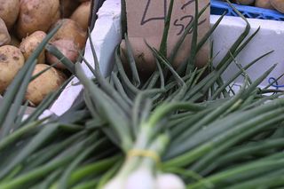  Ceny nowalijek na warszawskich bazarach szokują. Byliśmy i sprawdziliśmy ile trzeba zapłacić