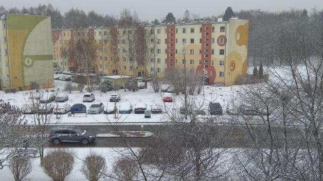 Zima w Trójmieście 28.01.2021