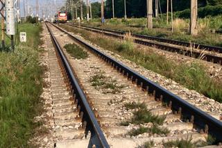 Lubelskie: 71-latek zginął na miejscu. Maszynista nie miał czasu na reakcje
