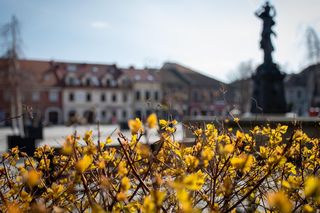 Najbogatsze powiaty w Małopolsce. To w tych miejscach żyje się najlepiej [GALERIA]