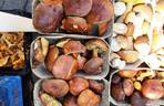 Ceny grzybów w Rzeszowie. Ile zapłacimy za kurki, prawdziwki czy borowiki?