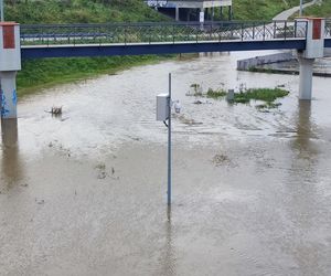 Fala powodziowa we Wrocławiu. Pod wodą są już beach bary i drogi 