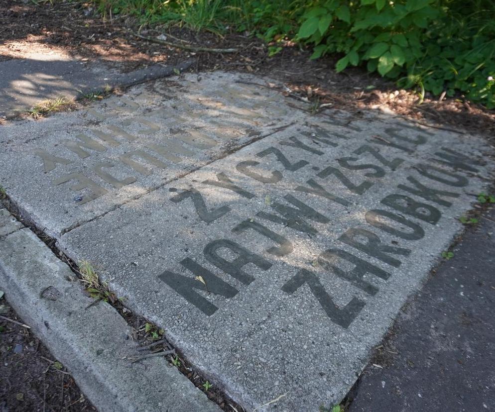 Lublin. W XX wieku to miejsce tętniło życiem. Jak dziś wygląda teren po dawnej Fabryce Samochodów Ciężarowych na Tatarach?