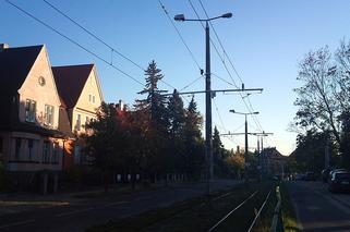 Gorzów: Walka o pieniądze trwa. Kiedy remont Kazimierza Wielkiego?