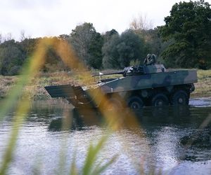 Dzielny Bóbr-25