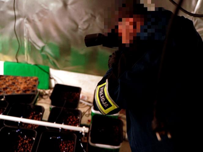 Wielki narkobiznes pod Warszawą. Ponad 100 kilogramów narkotyków i 13 zatrzymanych