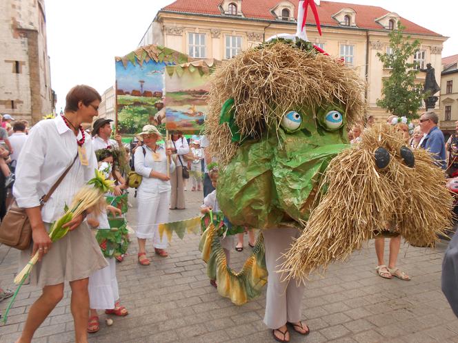 Wielka parada smoków 2016