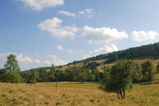 To najmniejsza wieś w Małopolsce. Mieszkają tam tylko dwie osoby [GALERIA]