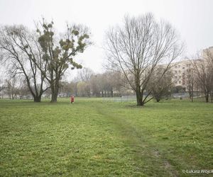 Co powinno się tam znaleźć? - Rozpoczeły się konsultacje społeczne dotyczące nowego miejsca rekreacji które powstanie na Ustroniu