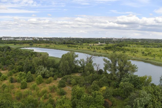 Jeziorko Czerniakowskie