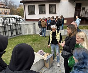 Uczniowie sadzili żonkile przy skwerze pamięci