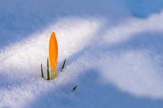 W weekend przydadzą Wam się kurtki i buty zimowe... Temp. odczuwalna wyniesie nawet -12°C!