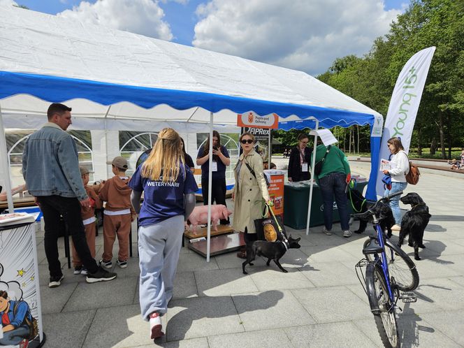 Festiwal Przyjaciół Zwierząt w Olsztynie. Park Centralny opanowały radosne pieski