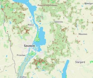 Mapa wycinki lasów 2025 - woj. zachodniopomorskie