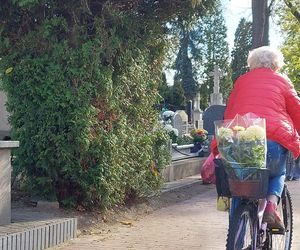 Przygotowania do Wszystkich Świętych Zamość