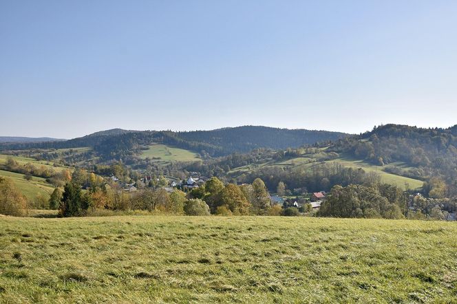 Niezwykła wieś na Podkarpaciu. Kiedyś była… stolicą państwa