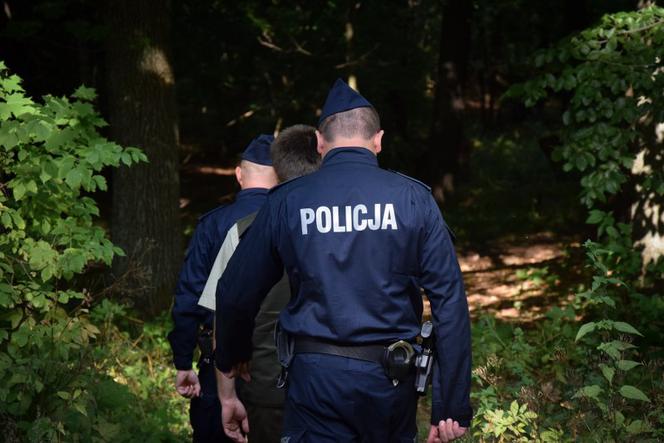 Stracili poczucie czasu i orientację w terenie. Para zaginęła w lesie