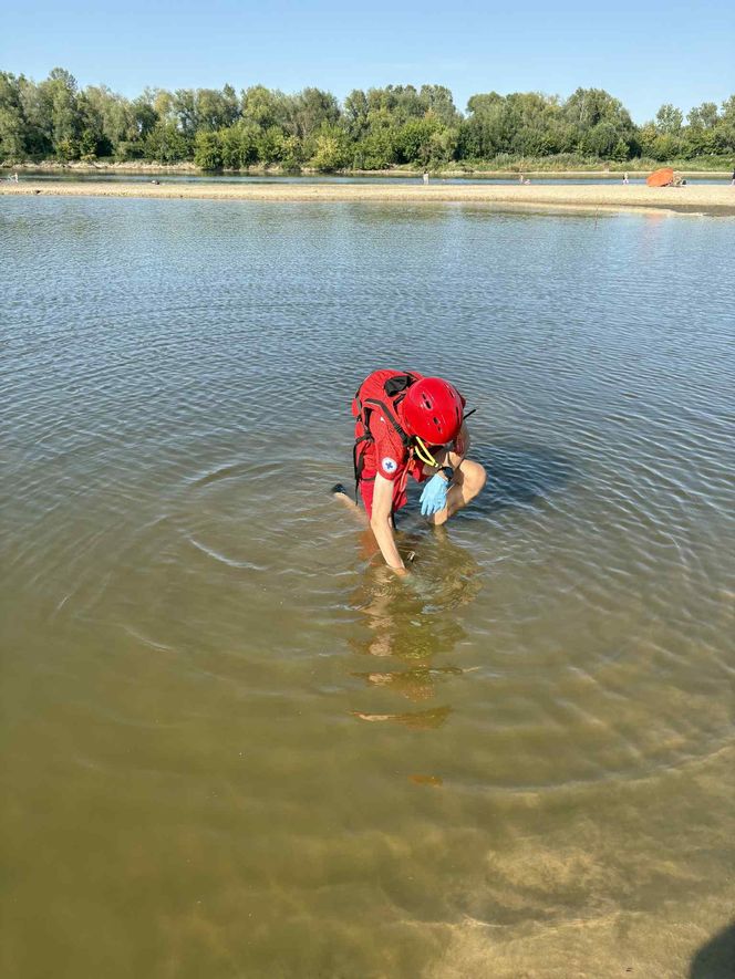 Makabryczne znalezisko nad Wisłą! Plażowicz wyłowił ludzką czaszkę