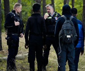 Niemcy będą zwracać więcej migrantów na granicy z Polską. „Są zdeterminowane by odzyskać kontrolę”