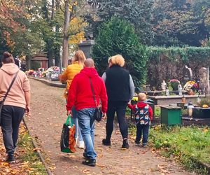 Przygotowania do 1 listopada na Cmentarzu Centralnym w Szczecinie