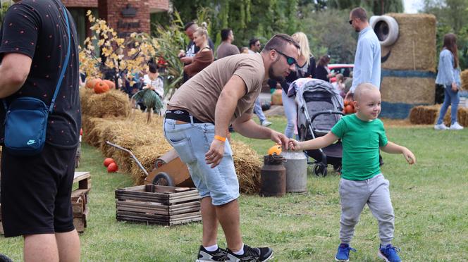 Nowa atrakcja w Lublinie dla dzieci! Farma dyń już działa