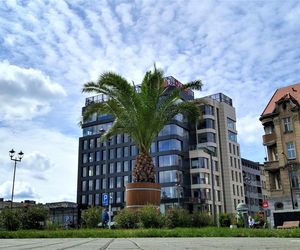 Las Palmas przyjechało na Śląsk. Gliwice niczym egzotyczny kurort dla turystów