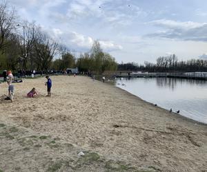 Stawiki w Sosnowcu budzą się do życia na wiosnę