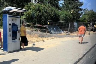 Krakowskie przystanki i cień - jak się sprawdzają? Jest kiepsko, sytuację ratują drzewa