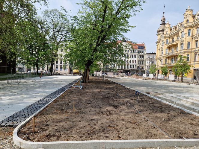 Tak teraz wygląda plac Wolności w Bydgoszczy. Powrót kwiaciarek ponownie opóźniony