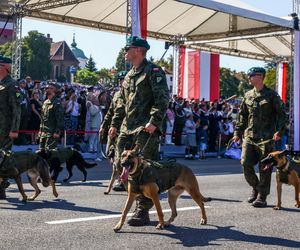 Defilada Wojska Polskiego bez psów. Upały pokrzyżowały plany. Znamy szczegóły