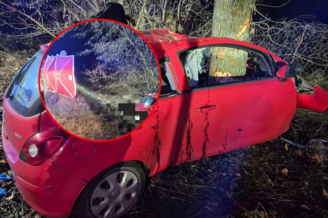 Huknął oplem w drzewo, pień przepołowił auto. Tragedia w Nowym Dworze Mazowieckim