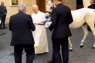 Papież Leon XIV otrzymał w środę białego konia czystej krwi arabskiej ze stadniny w Kołobrzegu-Budzistowie