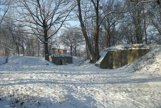 Fort Piechoty numer 6 Polanowice