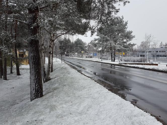 Dziś (19.03.) ostatni dzień zimy. Jutro (20.03.) początek astronomicznej wiosny