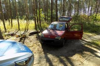 Kradzież drewna z lasu