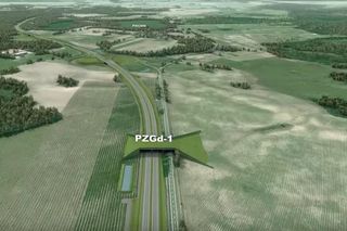 Tak ma wyglądać ekspresowa S10