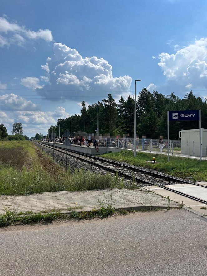 Tragedia na torach. Bus zderzył się z pociągiem. Kierowca nie żyje