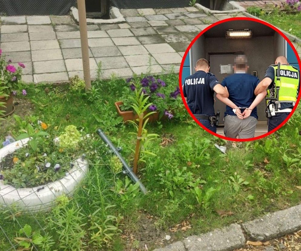Od rabatki do celi. Pijany kierowca z Mysłowic odpowie przed sądem