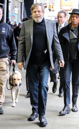 Mark Hamill