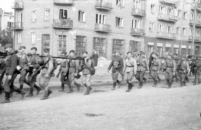 80. rocznica wyzwolenia Warszawy 17 stycznia 1945r. Czarna rozpacz i Czerwona Armia