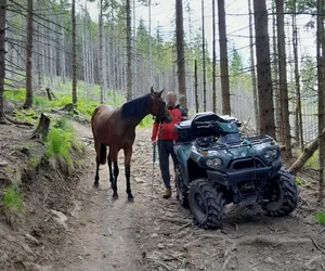 Uciekł i próbował wejść na Babią Górę. Turysta znalazł na szlaku... konia 