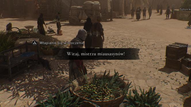 Mistrz Miausasynów. Koty w Assassin's Creed Mirage są wyjątkowe