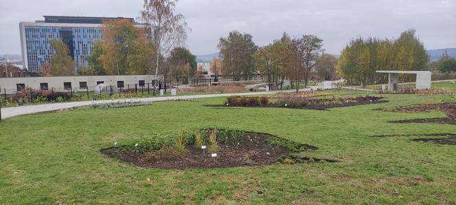 Rabaty w kształcie kontynentów w Ogrodzie Botanicznym w Kielcach